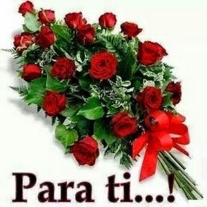 Meet your Posher, Katy